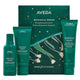 Aveda Botanical Repair zestaw wzmacniający szampon do włosów 100ml + wzmacniająca odżywka do włosów 100ml + wzmacniająca kuracja do włosów bez spłukiwania 100ml