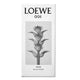 Loewe 001 Man woda toaletowa spray 75ml