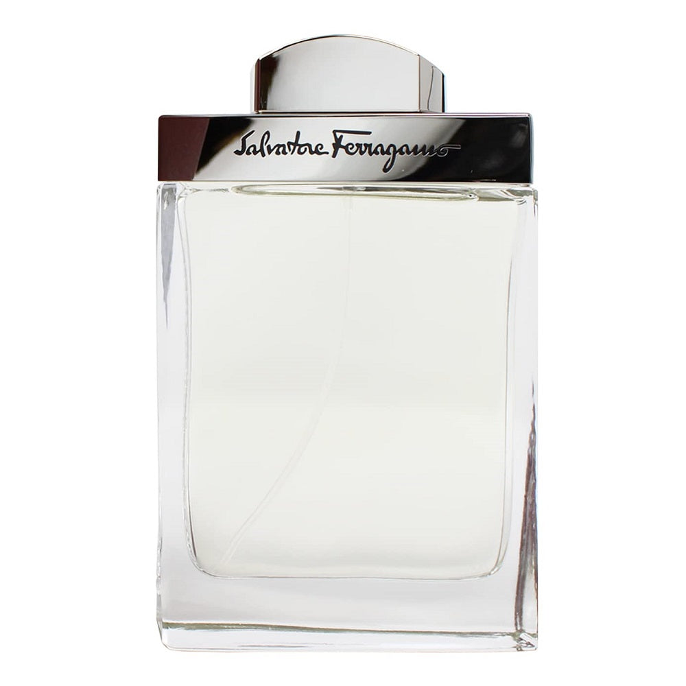 salvatore ferragamo salvatore ferragamo pour homme