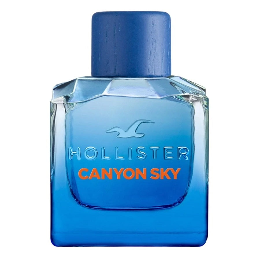 hollister canyon sky for him